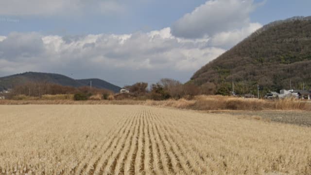 岡山県岡山市の伝賀陽氏館跡