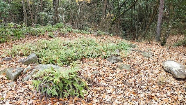広島県広島市の中小田古墳群