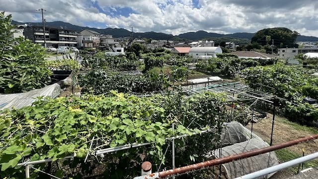 広島県安芸郡の下岡田官衙遺跡