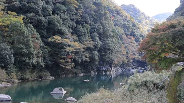 山口県山口市の長門峡