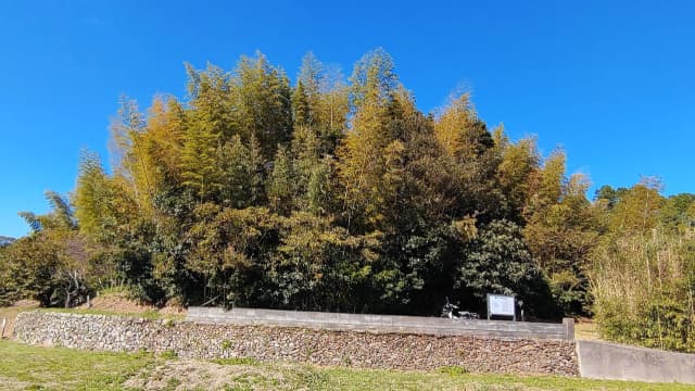 徳島県徳島市の渋野丸山古墳