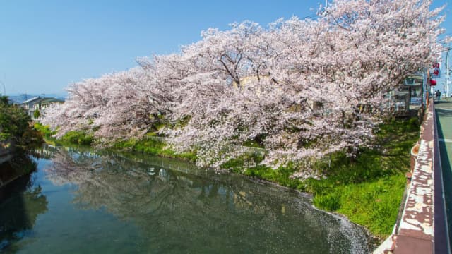 徳島県徳島市の袋井用水の水源地