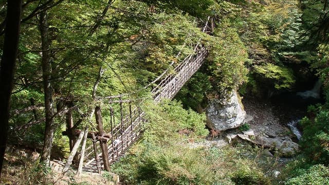 徳島県三好市の奥祖谷二重かずら橋