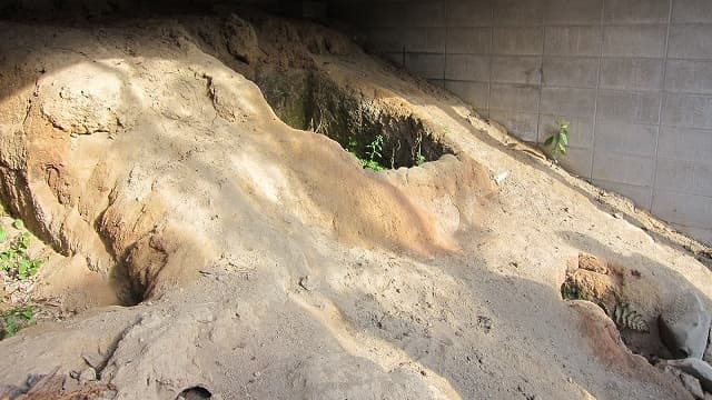 香川県三豊市の歓喜院内の瓦窯跡