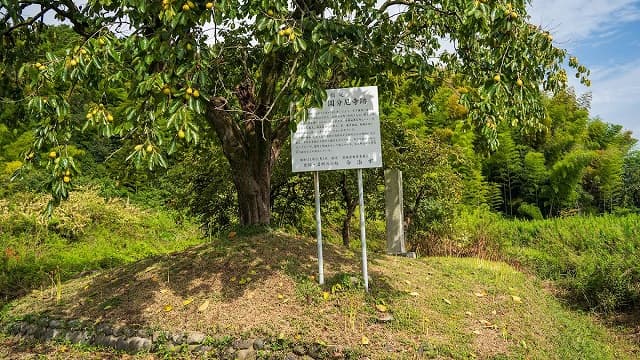 愛媛県今治市の伊予国分尼寺塔跡