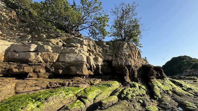 愛媛県今治市の甘崎城跡