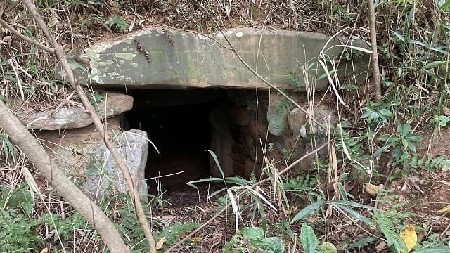 愛媛県四国中央市の朝日山古墳