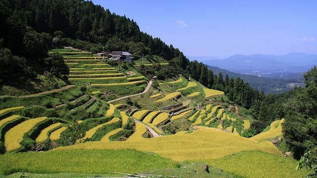 愛媛県喜多郡の泉谷棚田