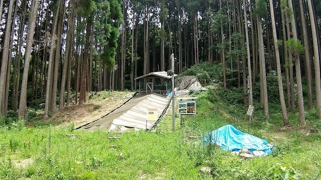 佐賀県唐津市の岸岳古窯跡（道納屋窯跡）