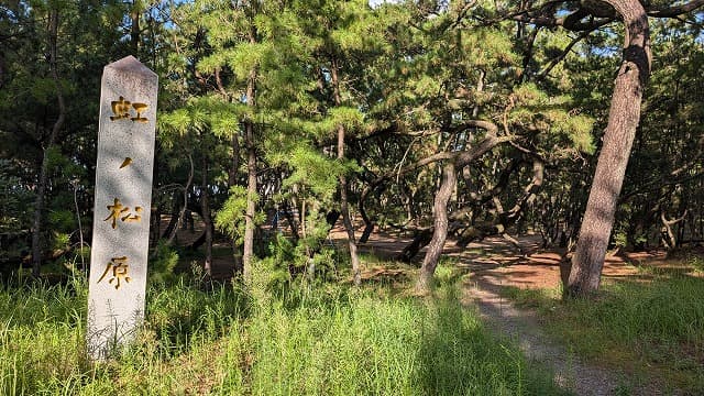 佐賀県唐津市の虹の松原