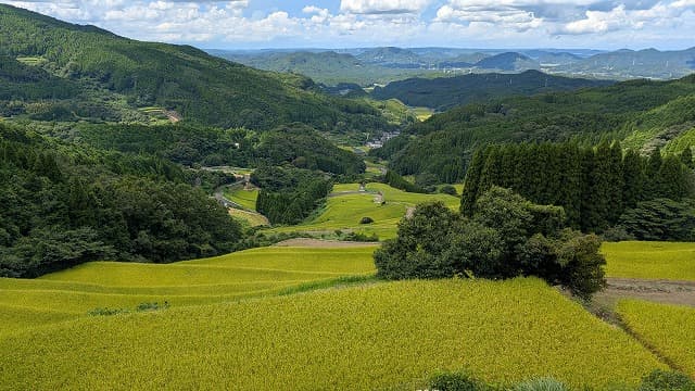 佐賀県唐津市の蕨野の棚田