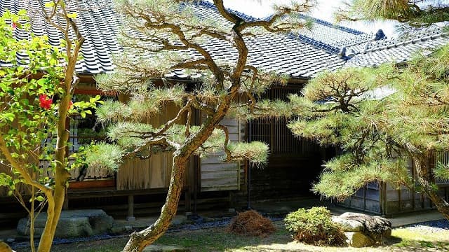 佐賀県唐津市の旧高取家住宅庭園