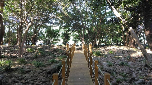 長崎県長崎市の曲崎古墳群