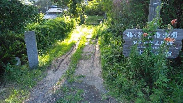 長崎県平戸市の棲霞園及び梅ヶ谷津偕楽園