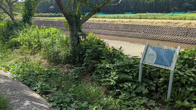 長崎県対馬市の吉田遺跡