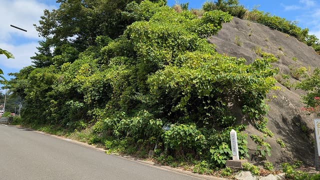 長崎県対馬市の上ガヤノキ遺跡