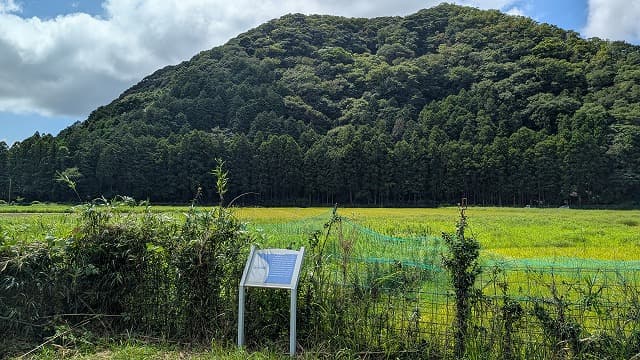 長崎県対馬市の太田原丘遺跡