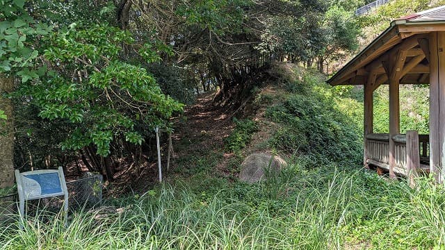 長崎県対馬市のチゴノハナ遺跡