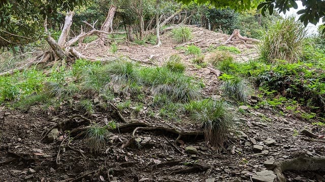 長崎県対馬市の大将軍山古墳