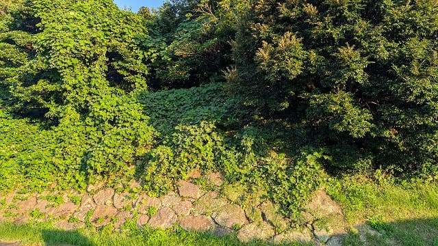 長崎県壱岐市の亀丘城跡