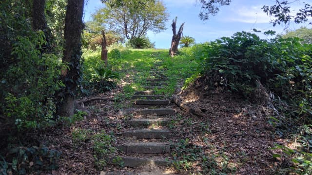 熊本県の大鼠蔵古墳群