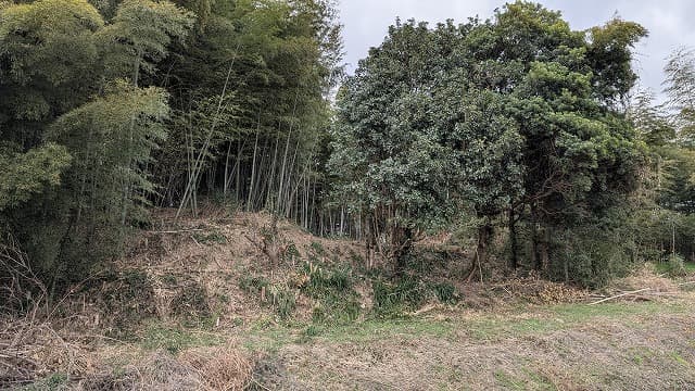 熊本県八代市の八代大塚古墳