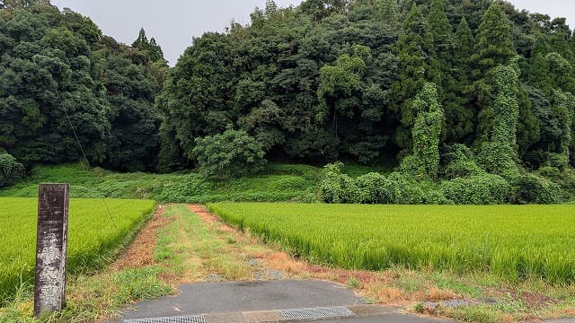 熊本県山鹿市の城横穴群