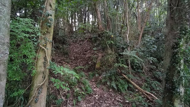 熊本県の仮又古墳