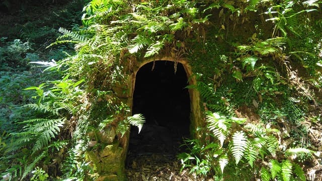 熊本県の高浜焼窯跡及び灰原