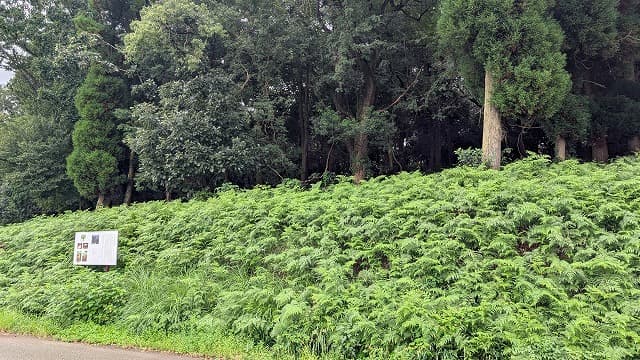 熊本県合志市の二子山石器製作遺跡