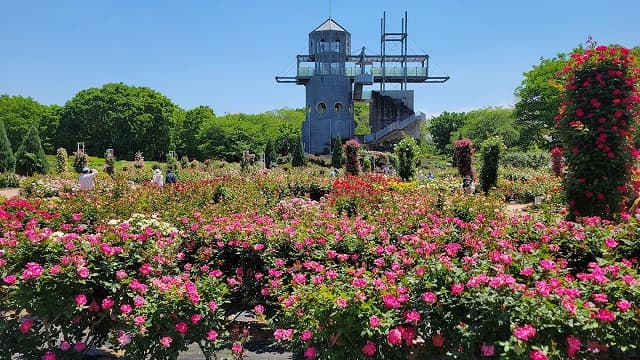 熊本県合志市の熊本県農業公園カントリーパーク