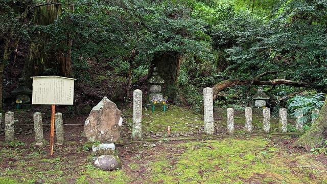 熊本県阿蘇郡の満願寺石塔群付杉群