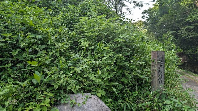 熊本県八代郡の大王山古墳第三号