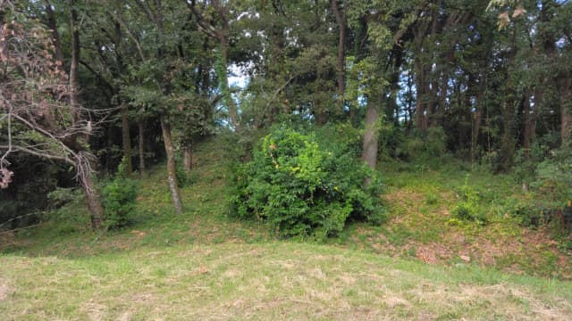 熊本県八代郡の野津古墳群(物見櫓古墳)