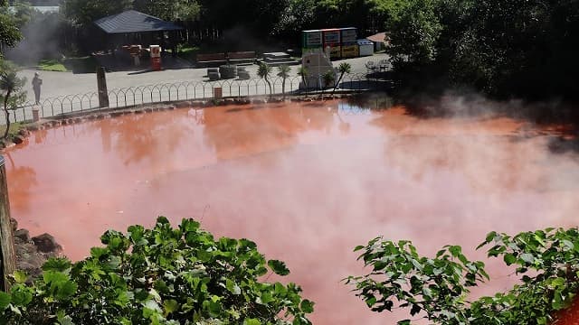大分県別府市の血の池地獄