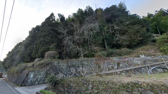 大分県日田市の城山古墳