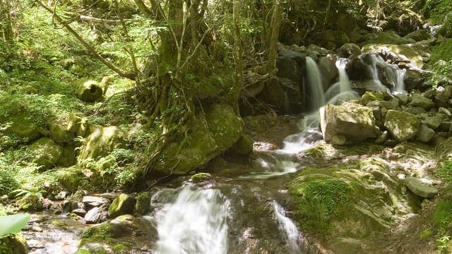 大分県日田市の御前岳湧水