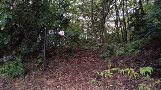 大分県の下山古墳