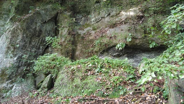 大分県の野鹿洞穴