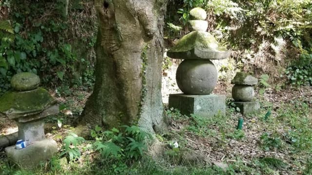 大分県杵築市の田原家墓地