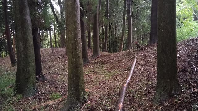 大分県の大塚古墳