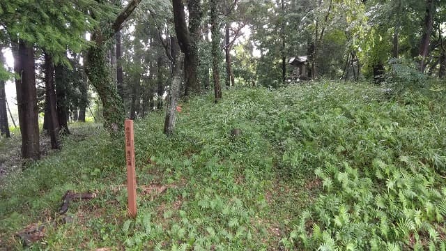 大分県の重政古墳