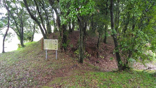 大分県の竜ヶ鼻古墳