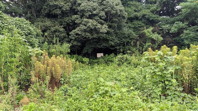 大分県国東市の塚山古墳