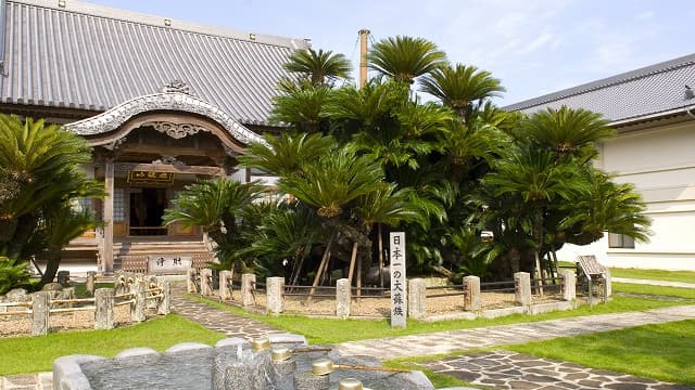 大分県速見郡の松屋寺
