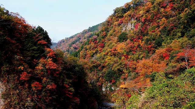 大分県玖珠郡の九酔渓