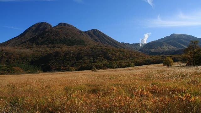大分県玖珠郡のタデ原湿原