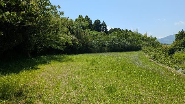 宮崎県宮崎市の清武上猪ノ原遺跡