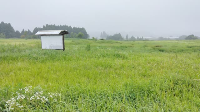 宮崎県宮崎市の本野原遺跡