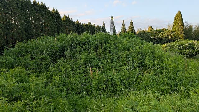 宮崎市の高岡町古墳